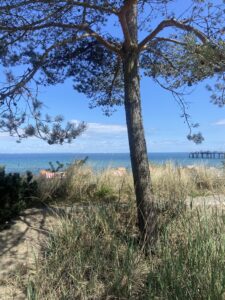 Fahrradverleih Niendorf