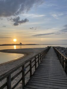 Günstiger Fahrradverleih Niendorf