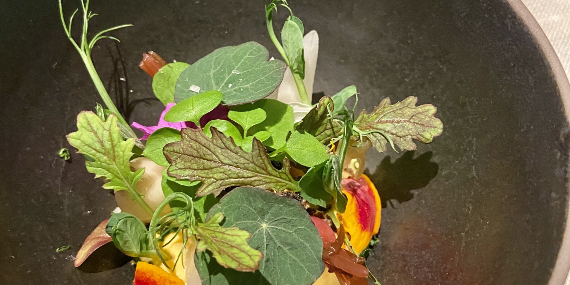 Edip Sigl 3-Sterne-Koch essenz Edip Sigl 3-Sterne-Koch essenz