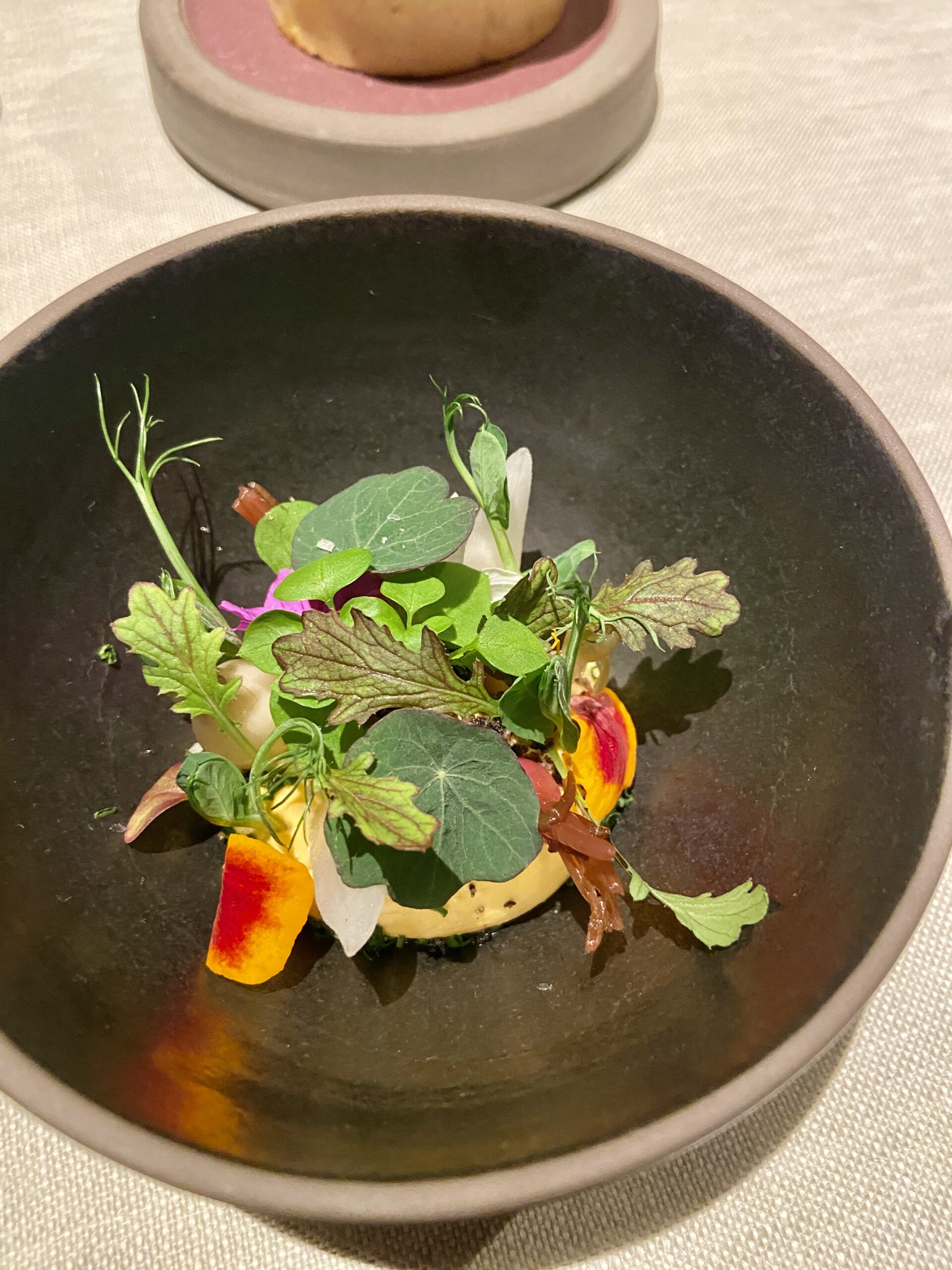 Edip Sigl 3-Sterne-Koch essenz