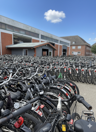 Borkum-Fahrradverleih Fahrradverleih Borkum